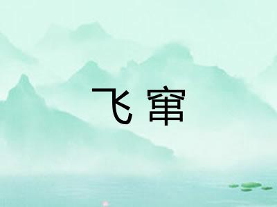 飞窜