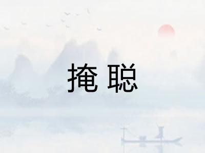 掩聪