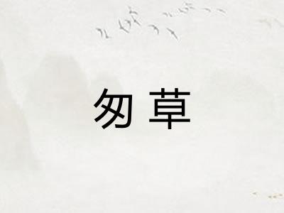 匆草