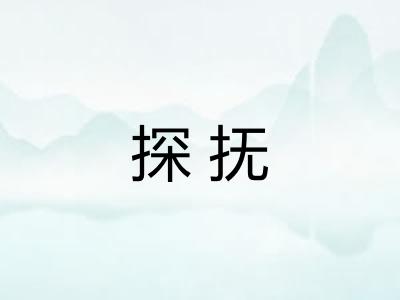 探抚