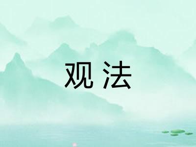 观法