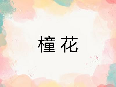 橦花