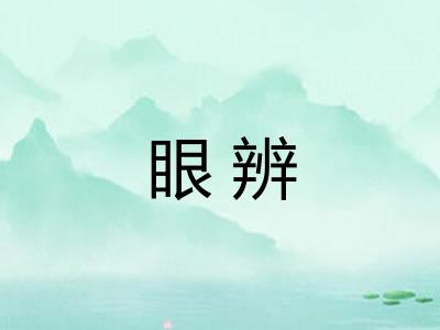 眼辨