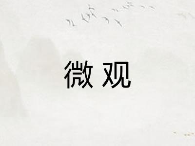微观