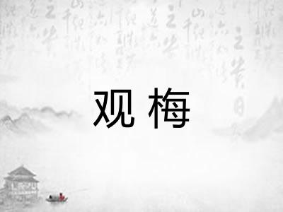 观梅