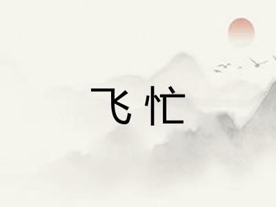 飞忙