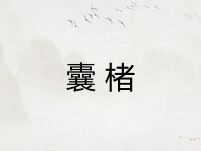 囊楮