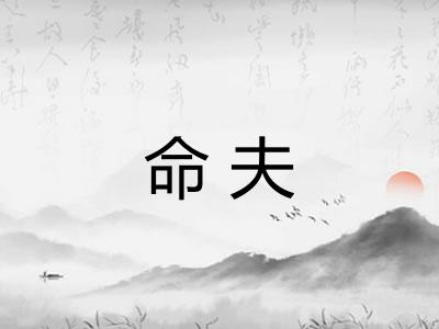 命夫