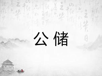 公储 公储