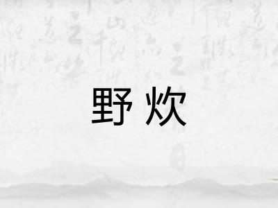 野炊