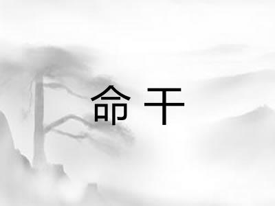 命干