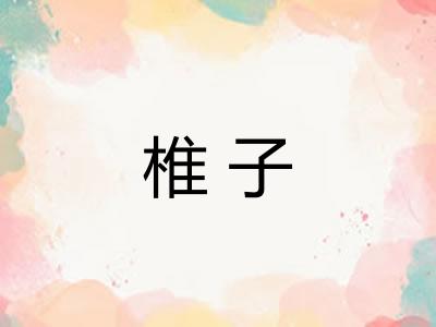 椎子
