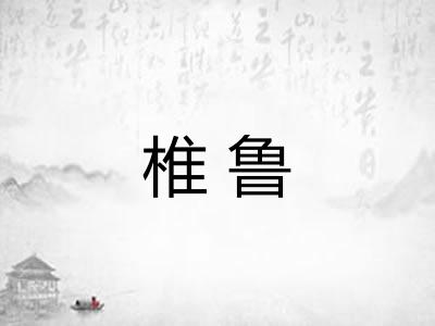 椎鲁