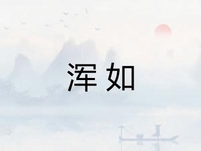浑如