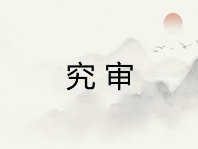 究审