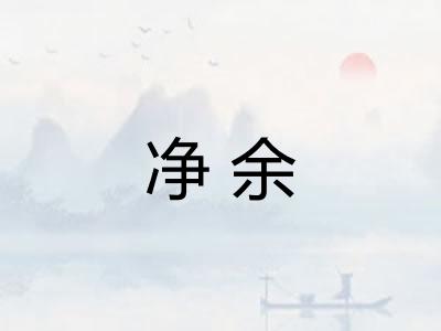 净余