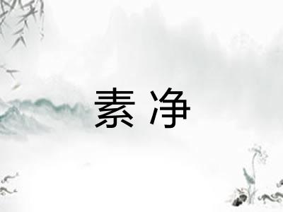 素净