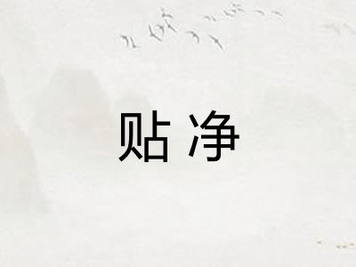 贴净