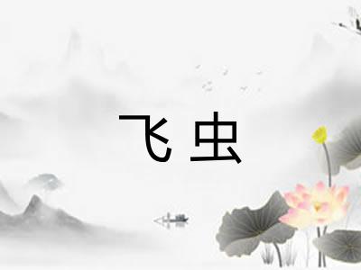 飞虫