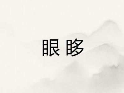 眼眵