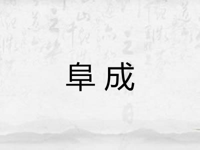 阜成