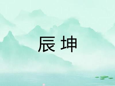 辰坤