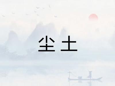 尘土