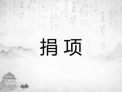 捐项