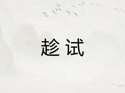 趁试