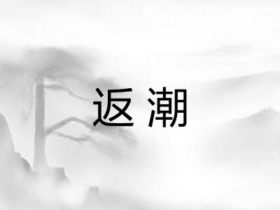 返潮