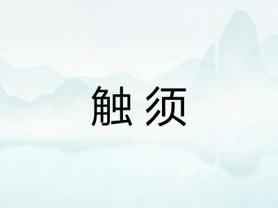触须