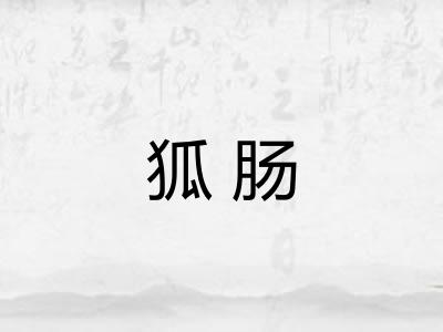 狐肠
