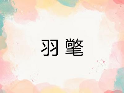 羽氅