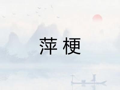 萍梗