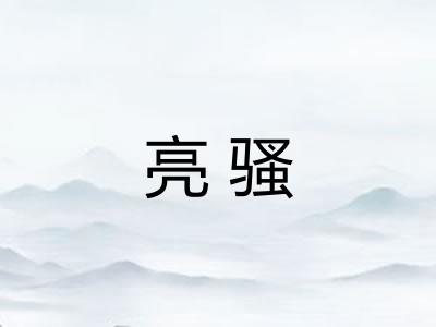 亮骚