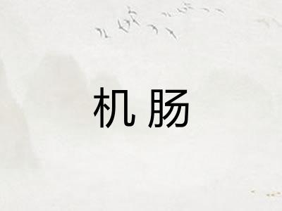 机肠