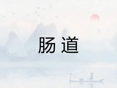 肠道
