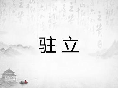 驻立