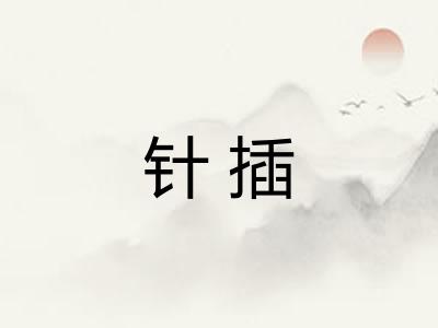 针插