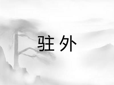 驻外