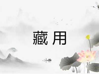 藏用