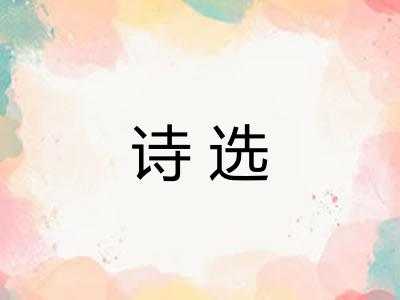 诗选