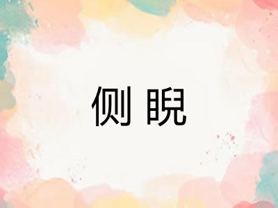 侧睨