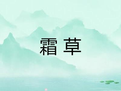 霜草