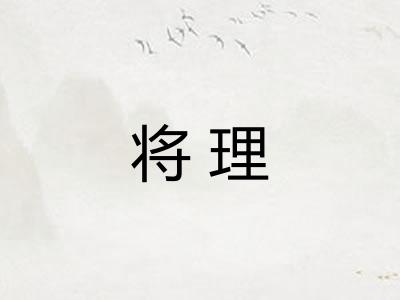 将理