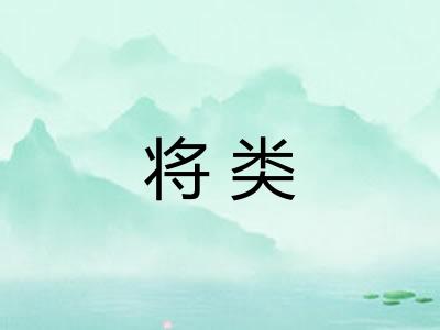 将类