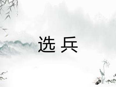 选兵