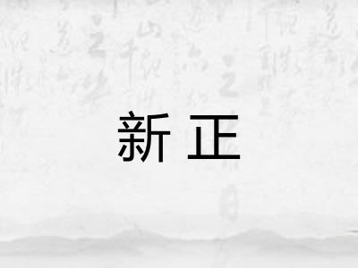 新正