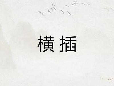 横插