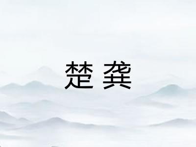 楚龚